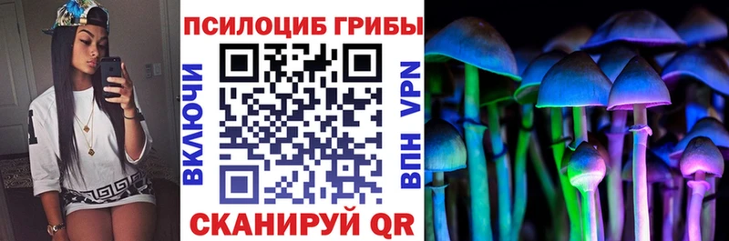 Галлюциногенные грибы мицелий  дарнет шоп  Стрежевой 