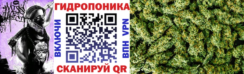 Бошки Шишки AK-47  Стрежевой 